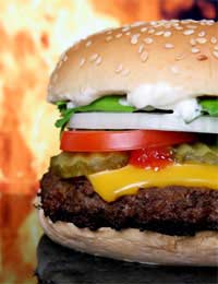 How Healthy Are Burgers From Fast Food Outlets?